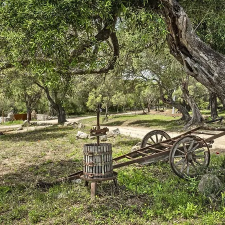 Uddastri Retreat 4* Arzachena