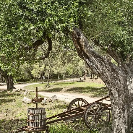 Uddastri Retreat Bed & Breakfast *