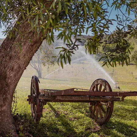 Alojamento de Acomodação e Pequeno-almoço Uddastri Retreat Arzachena