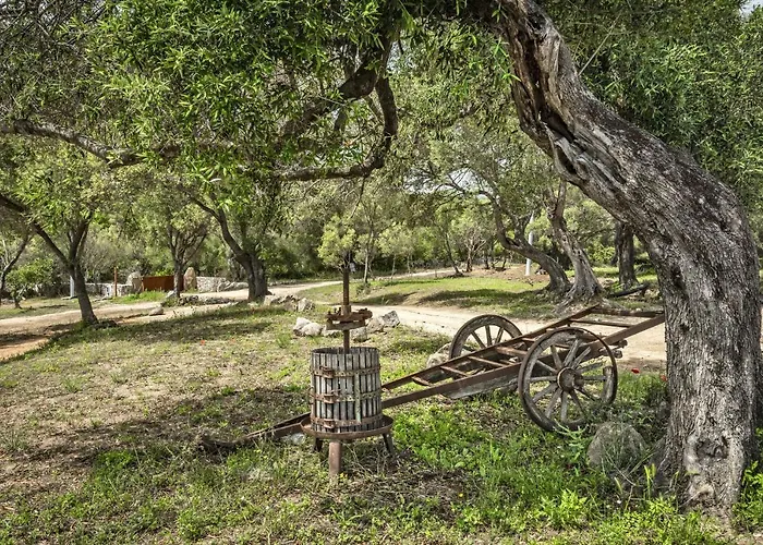 Uddastri Retreat 4* Arzachena